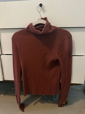 A.L.C. Ribbed Turtleneck Long Sleeve Top in Rust Brown